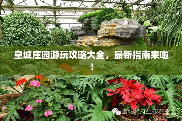 皇城庄园游玩攻略大全,最新指南来啦!