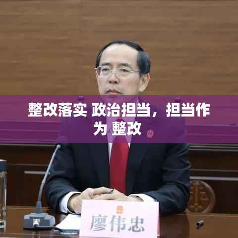 整改落实 政治担当,担当作为 整改