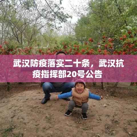 武汉防疫落实二十条,武汉抗疫指挥部20号公告