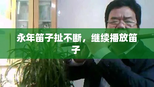 永年笛子扯不断,继续播放笛子