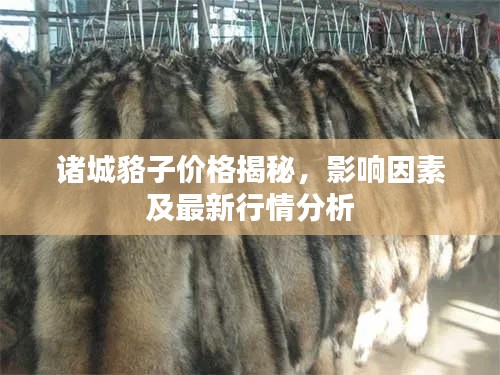 诸城貉子价格揭秘,影响因素及最新行情分析