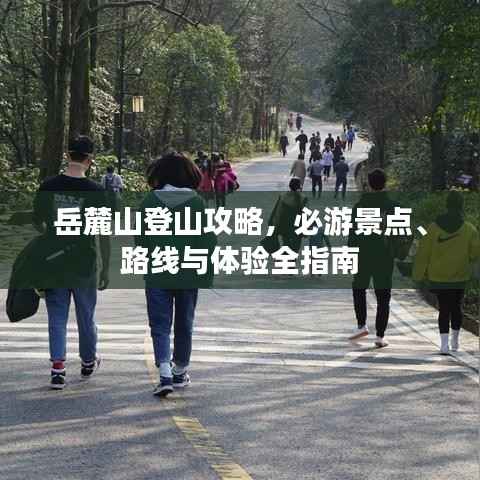 岳麓山登山攻略,必游景点、路线与体验全指南