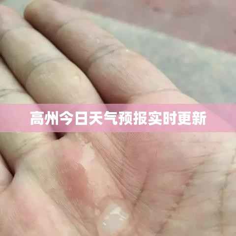 高州今日天气预报实时更新