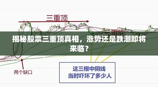 草间求活 第2页