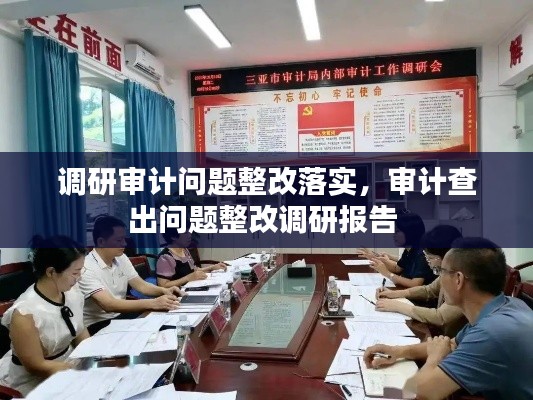 调研审计问题整改落实,审计查出问题整改调研报告