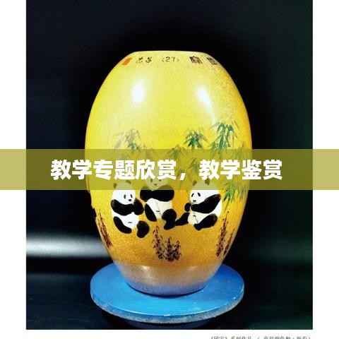 教学专题欣赏,教学鉴赏