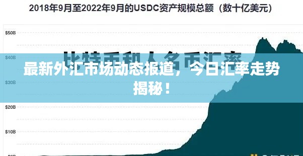 最新外汇市场动态报道,今日汇率走势揭秘!