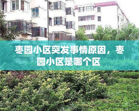 枣园小区突发事情原因,枣园小区是哪个区
