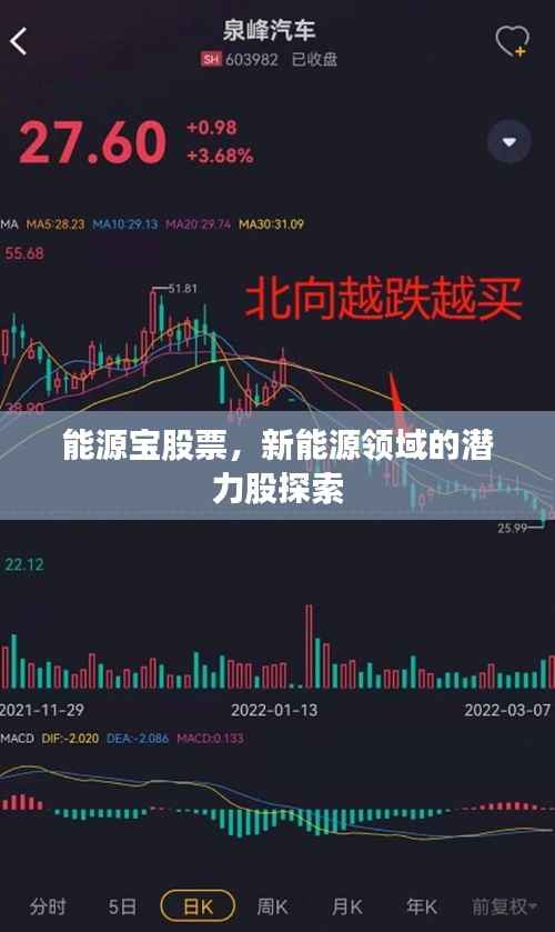 能源宝股票,新能源领域的潜力股探索