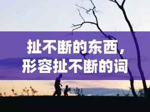 扯不断的东西,形容扯不断的词