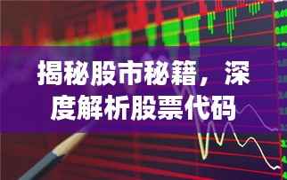 揭秘股市秘籍，深度解析股票代码000065的投资前景与风险分析