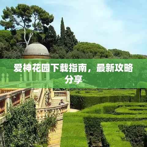 将机就机 第3页