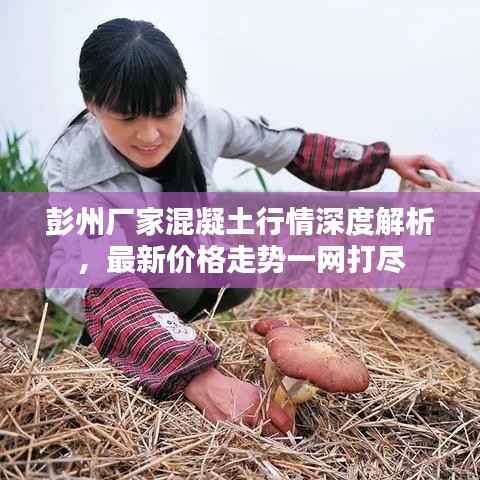 彭州厂家混凝土行情深度解析,最新价格走势一网打尽