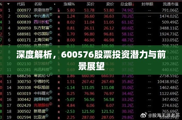 深度解析,600576股票投资潜力与前景展望