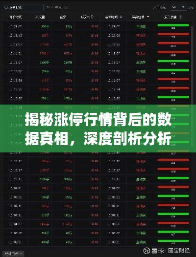 揭秘涨停行情背后的数据真相,深度剖析分析