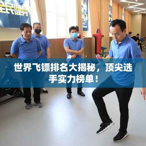 世界飞镖排名大揭秘，顶尖选手实力榜单！