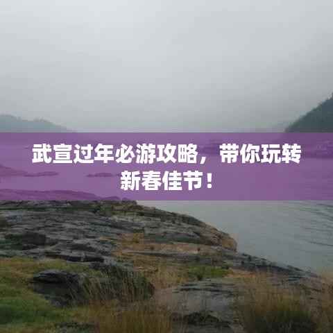 武宣过年必游攻略,带你玩转新春佳节!