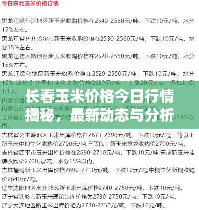 长春玉米价格今日行情揭秘,最新动态与分析