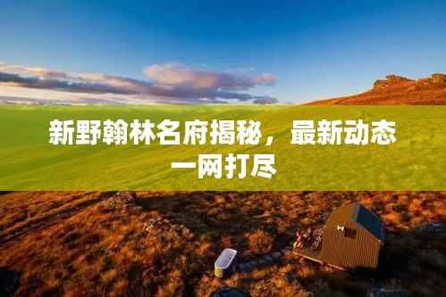 新野翰林名府揭秘,最新动态一网打尽