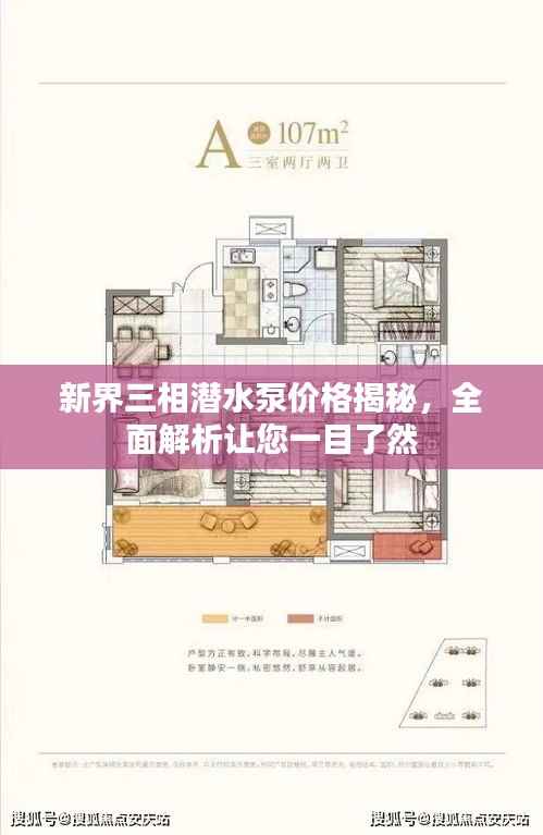 新界三相潜水泵价格揭秘,全面解析让您一目了然