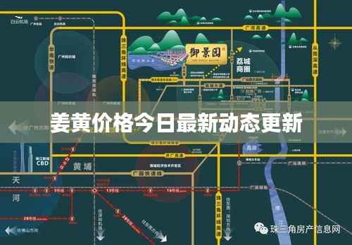 姜黄价格今日最新动态更新