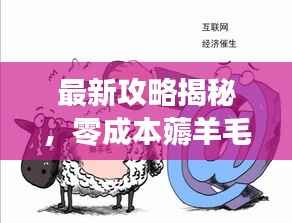 最新攻略揭秘,零成本薅羊毛的巧妙利用之道