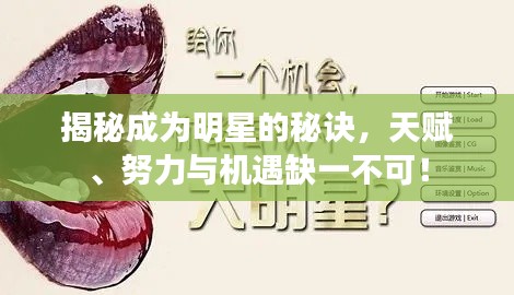 揭秘成为明星的秘诀,天赋、努力与机遇缺一不可!